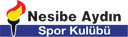 Nesibe Aydın logosu